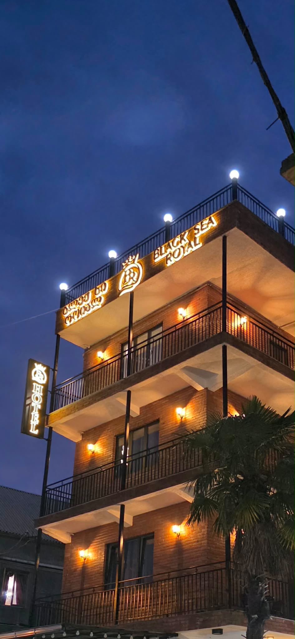 Night view of the hotel with palm tree